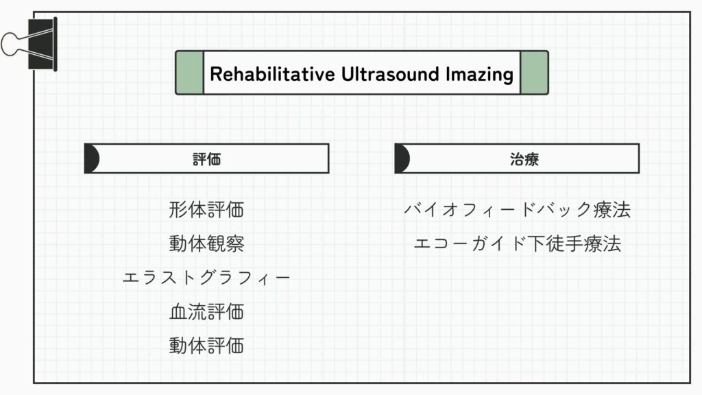 Rehabilitative Ultrasound Imazing