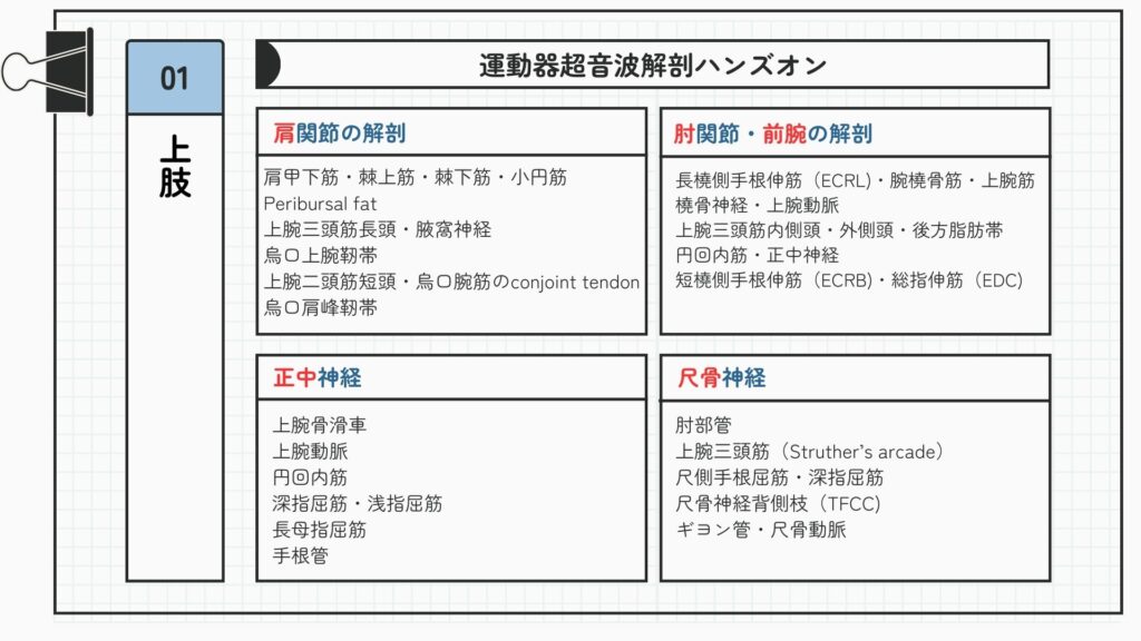 林典雄＿超音波＿上肢１＿リハノメ