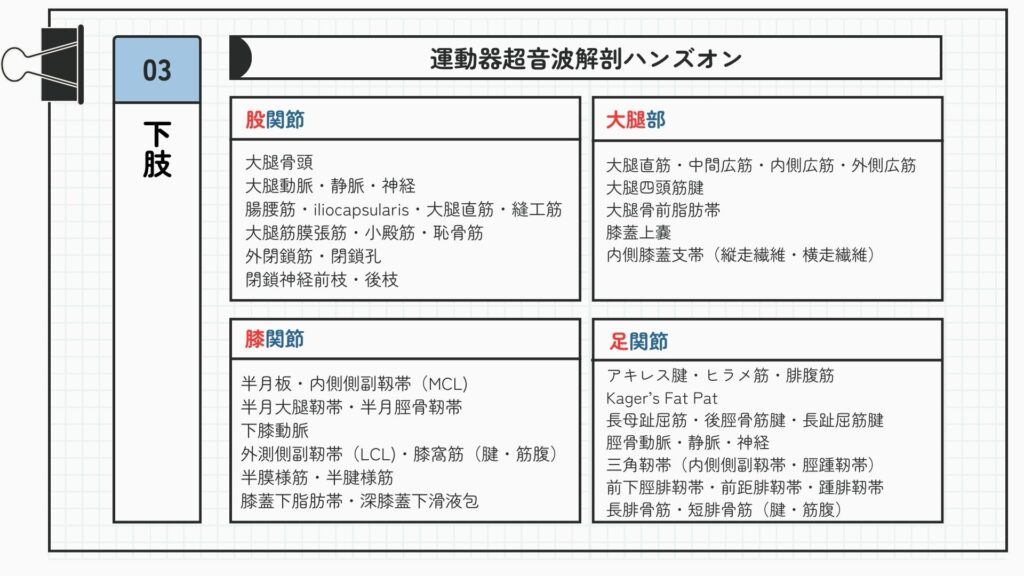 林典雄＿超音波＿下肢＿リハノメ